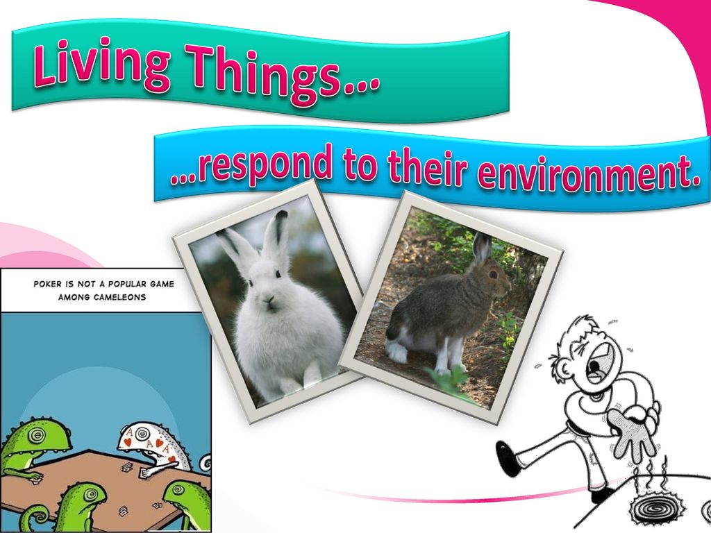 Biology the study of life ppt download