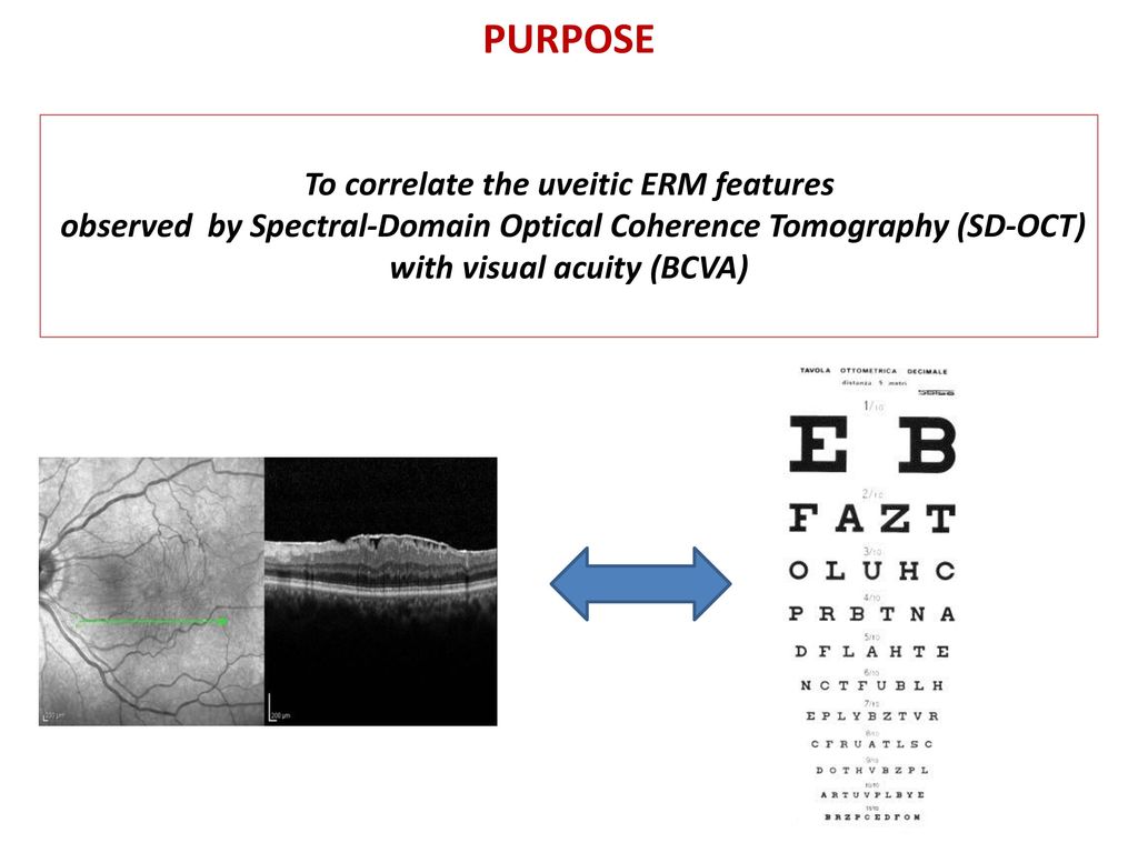 PURPOSE To correlate the uveitic ERM features