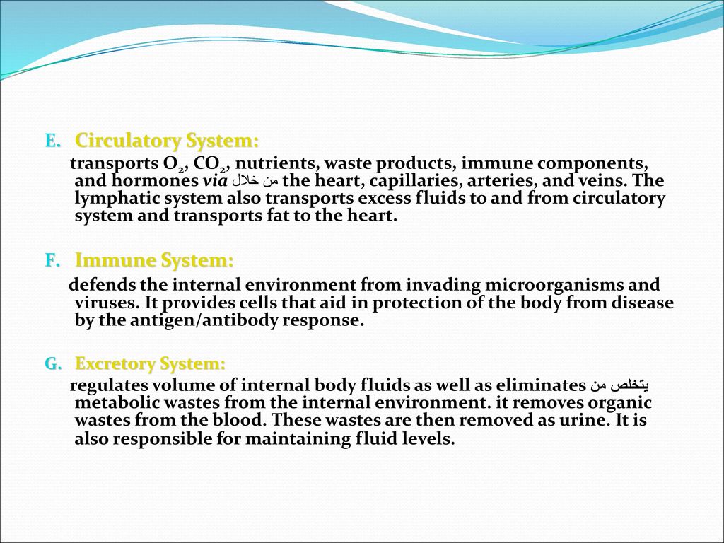 Circulatory System: Immune System: