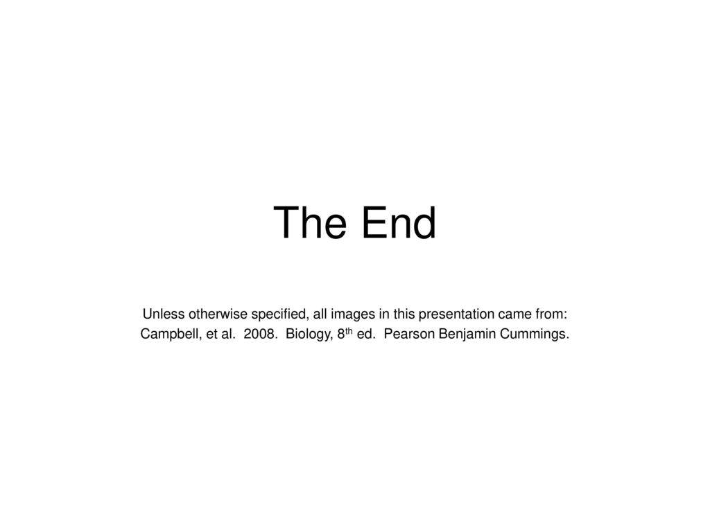 The End Unless otherwise specified, all images in this presentation came from: Campbell, et al.