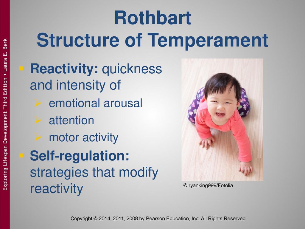 Structure of Temperament