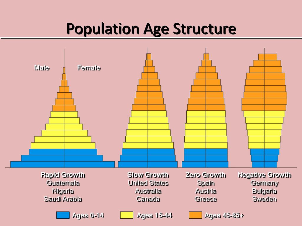 Age And Sex Composition