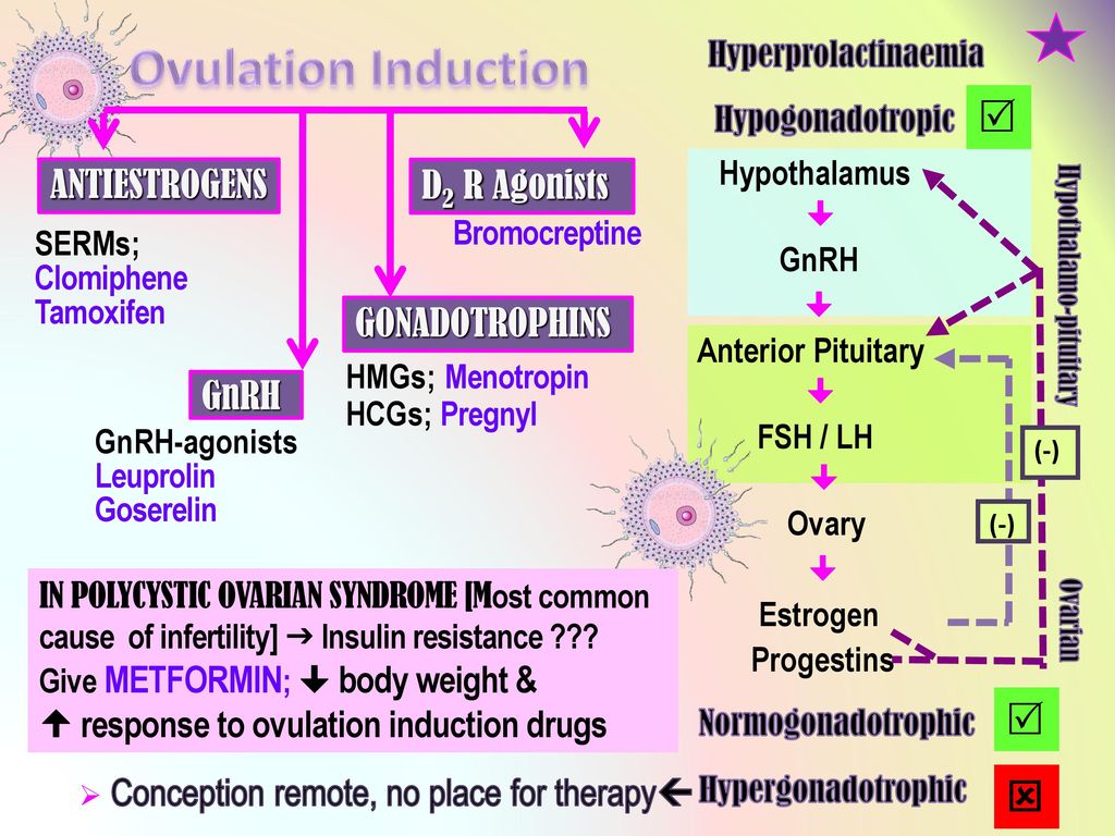 Drugs In Ovulation Induction Ppt Download