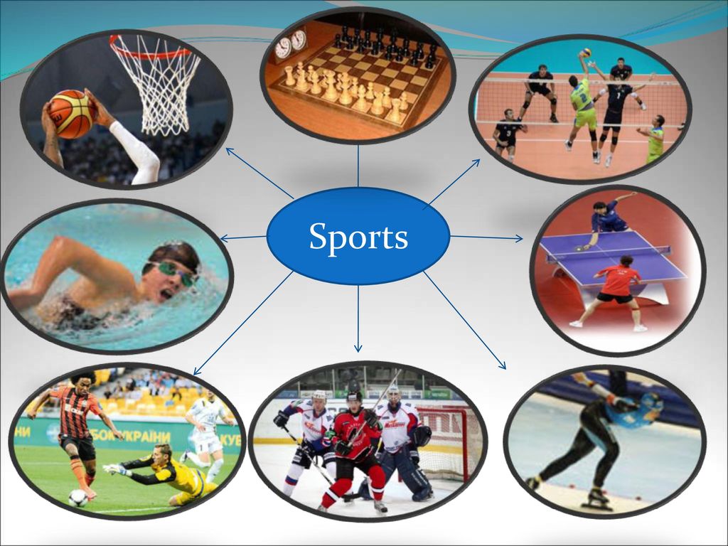 All kinds of sports. Презентация на тему спорт. Виды спорта. Спортивные увлечения. Спорт для презентации.
