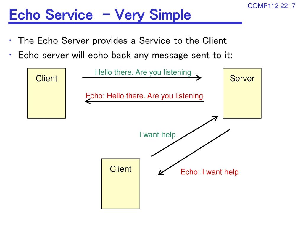 Echo networking comp ppt download
