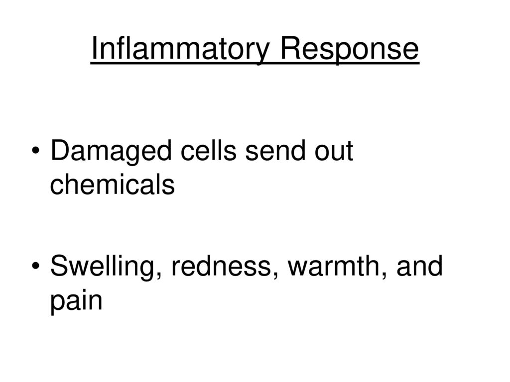 Next Review Session :15 Date: June, period 1 Aim # 85: What are the ... Biology Diagrams