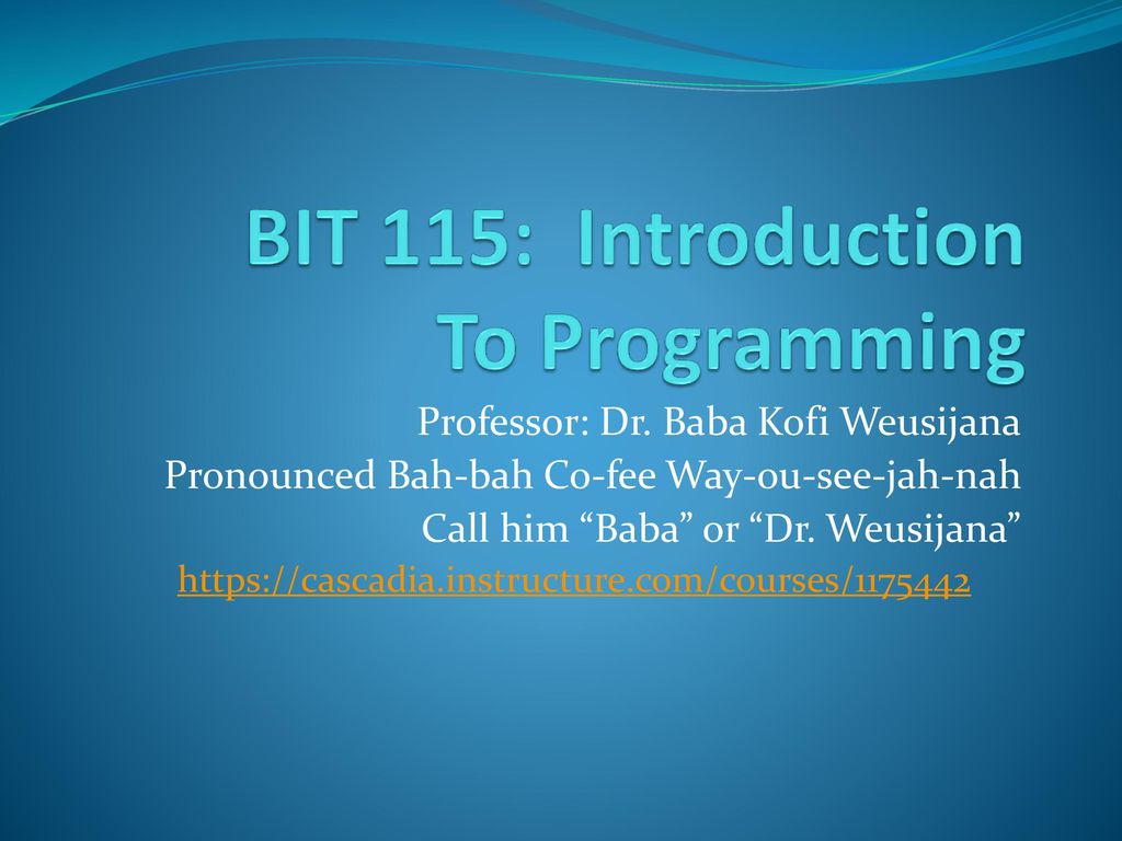 BIT 115: Introduction To Programming - ppt download