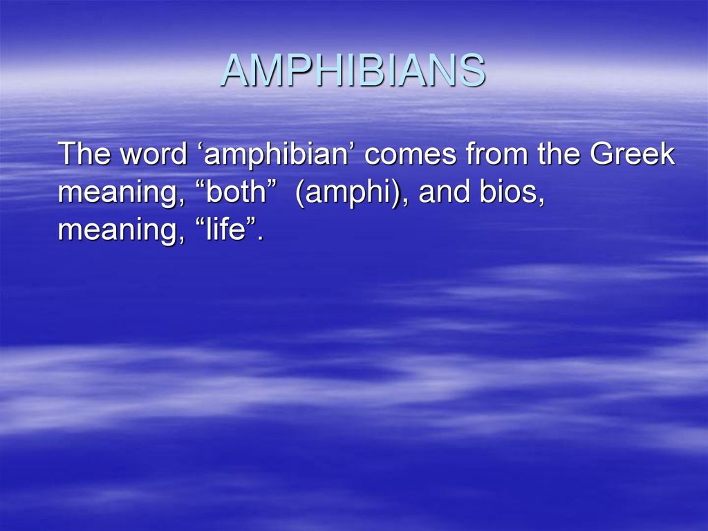 AMPHIBIANS The Rise of Amphibians (Devonian Period) - ppt download