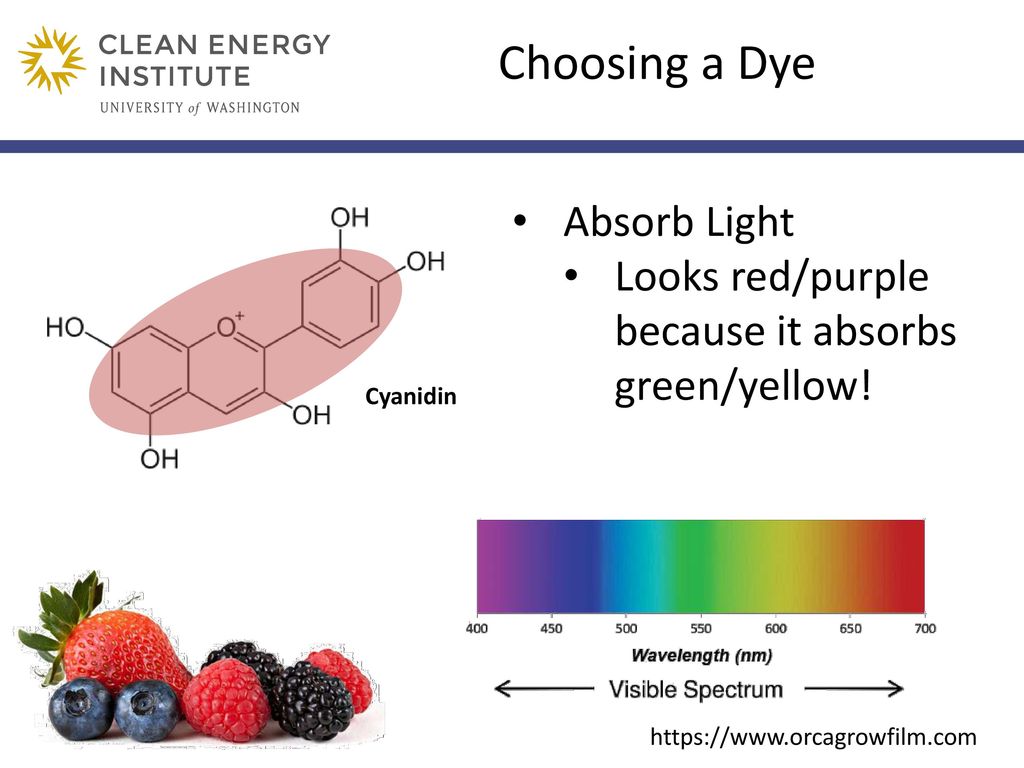 Choosing a Dye Absorb Light