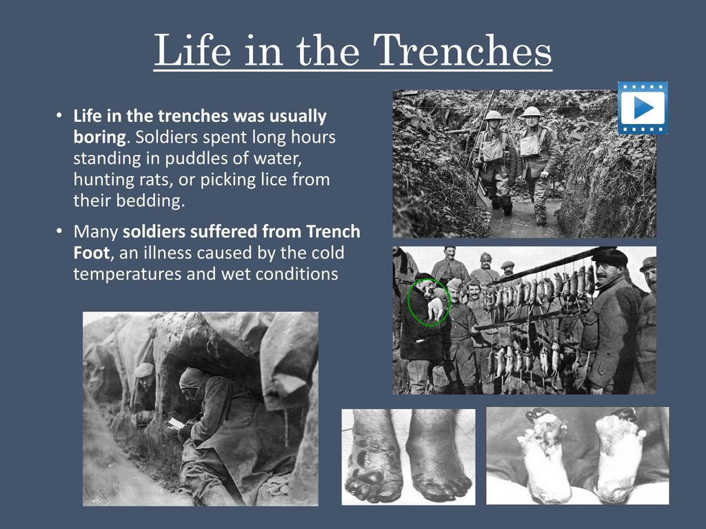 PPT - Life in the Trenches Part II PowerPoint Presentation, free download -  ID:2119705