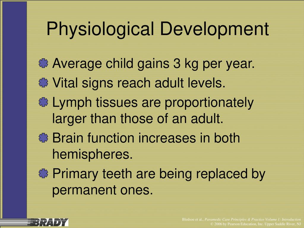 Life-Span Development - ppt download