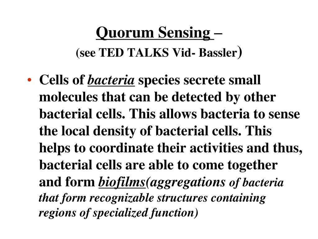 Quorum Sensing – (see TED TALKS Vid- Bassler)