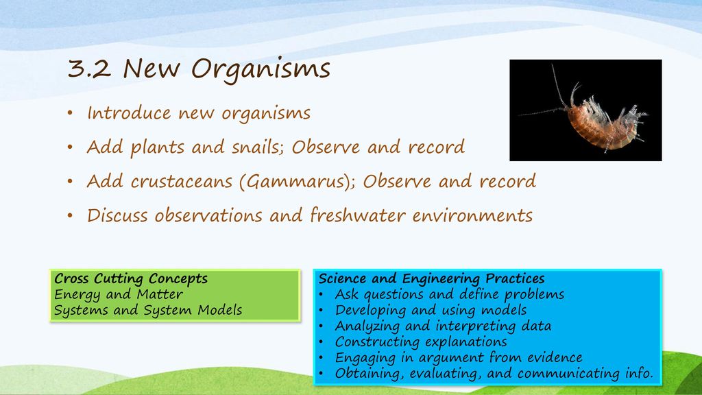 3.2 New Organisms Introduce new organisms