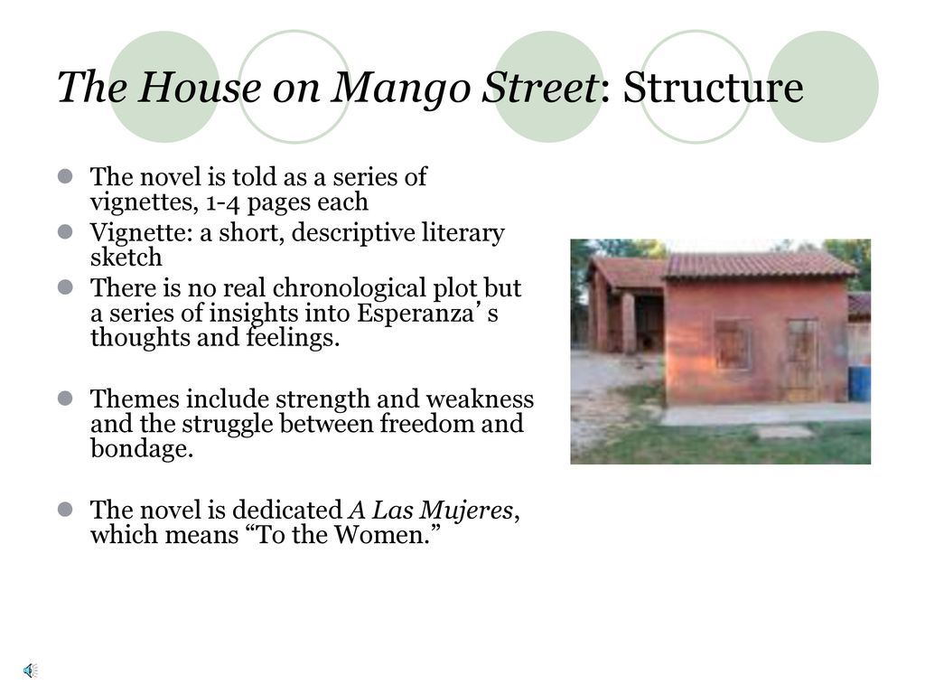 house on mango street literary criticism