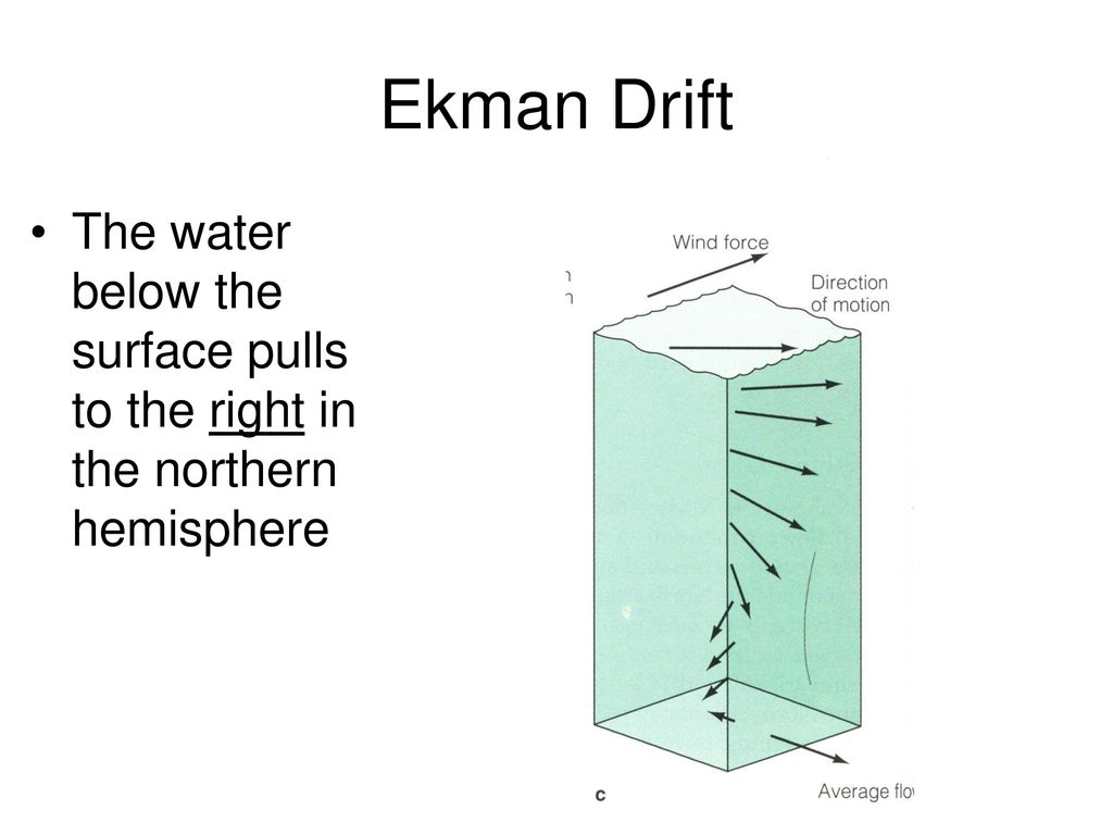 Ekman Drift The water below the surface pulls to the right in the northern hemisphere