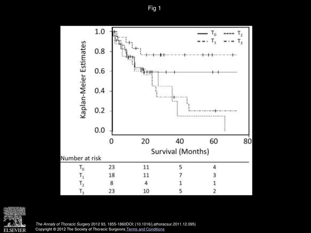 Fig 1 Probability of overall survival is shown according to pathologic T classification.
