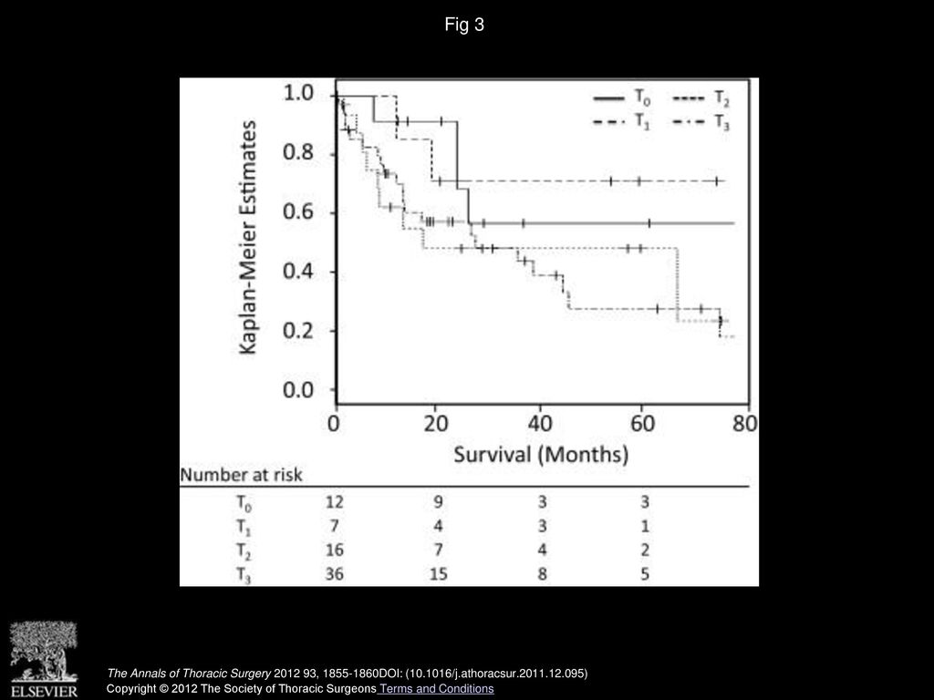 Fig 3 Probability of overall survival is shown according to restaging endoscopic ultrasound T classification.