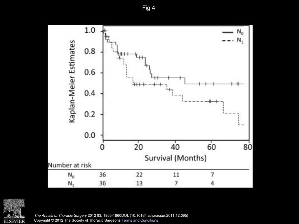 Fig 4 Probability of overall survival is shown according to restaging endoscopic ultrasound N classification.