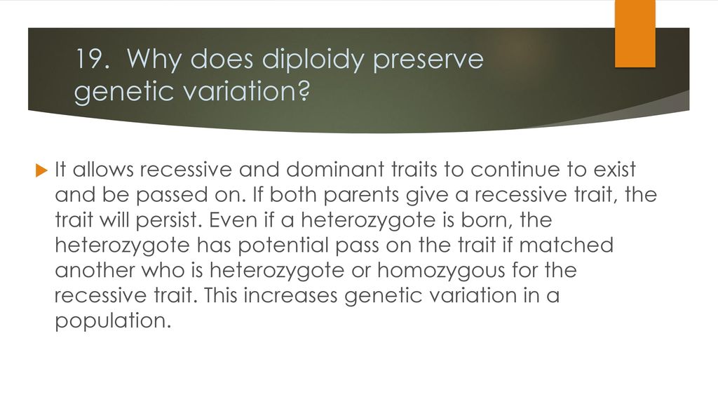 Ch. 23 Thought Questions AP Biology Ms. Whipple. ppt download