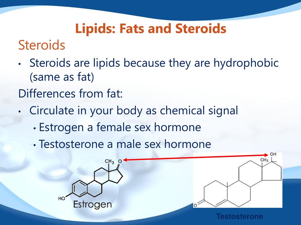 Biochemistry The Molecules Of Life Ppt Download