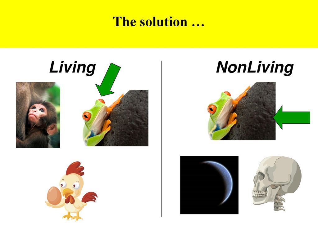 The solution … Living NonLiving