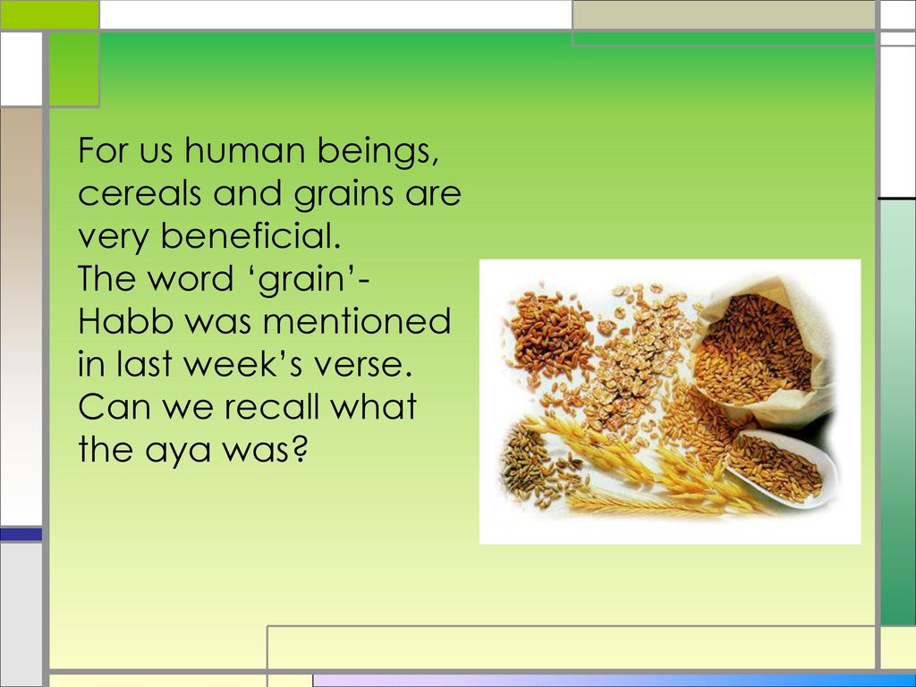 For us human beings, cereals and grains are very beneficial.