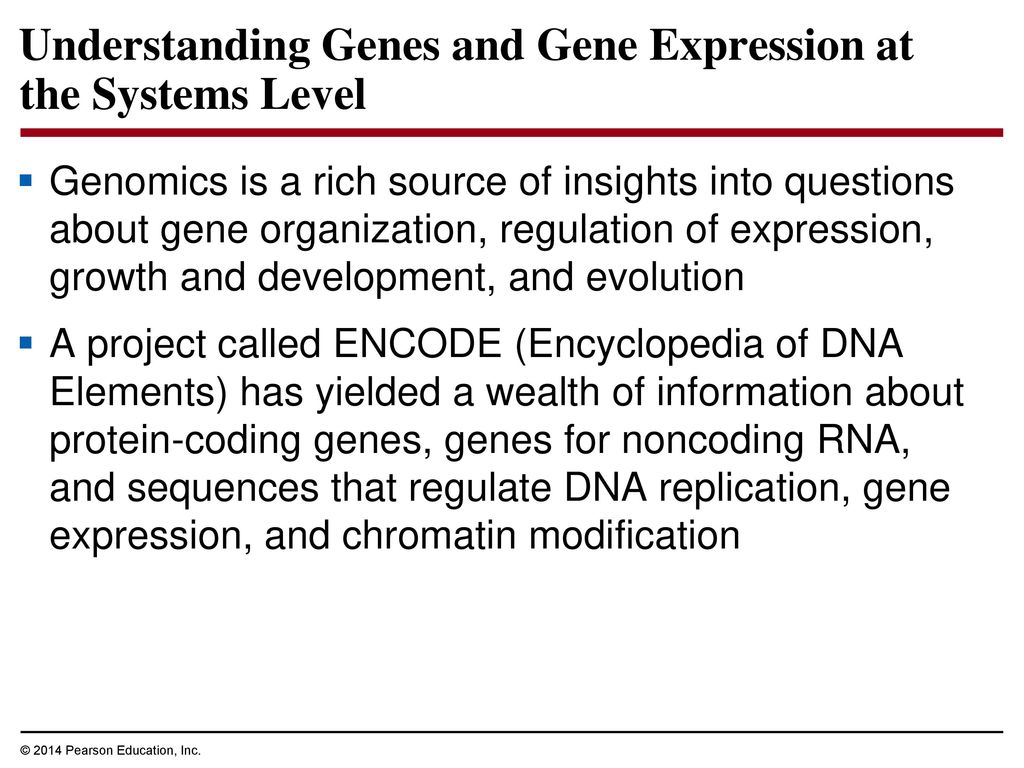 Understanding Genes and Gene Expression at the Systems Level
