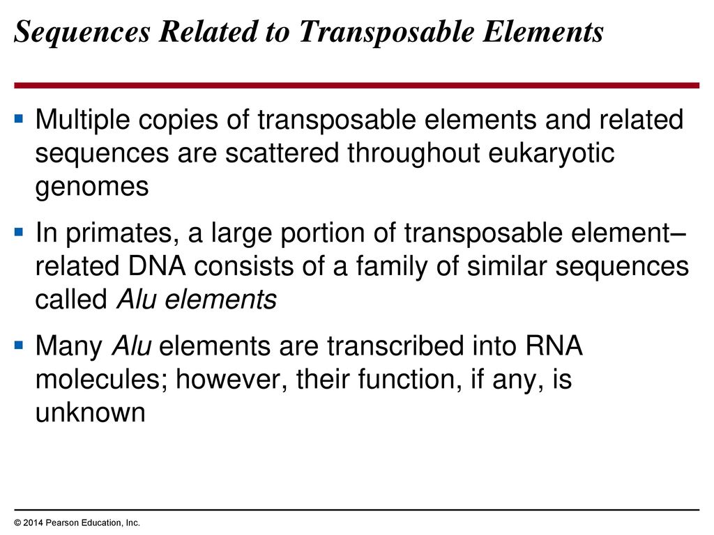Sequences Related to Transposable Elements