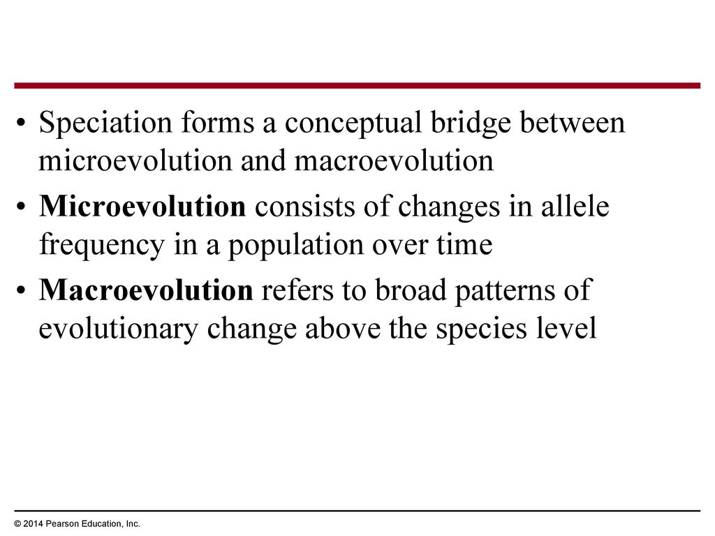 Speciation forms a conceptual bridge between microevolution and macroevolution