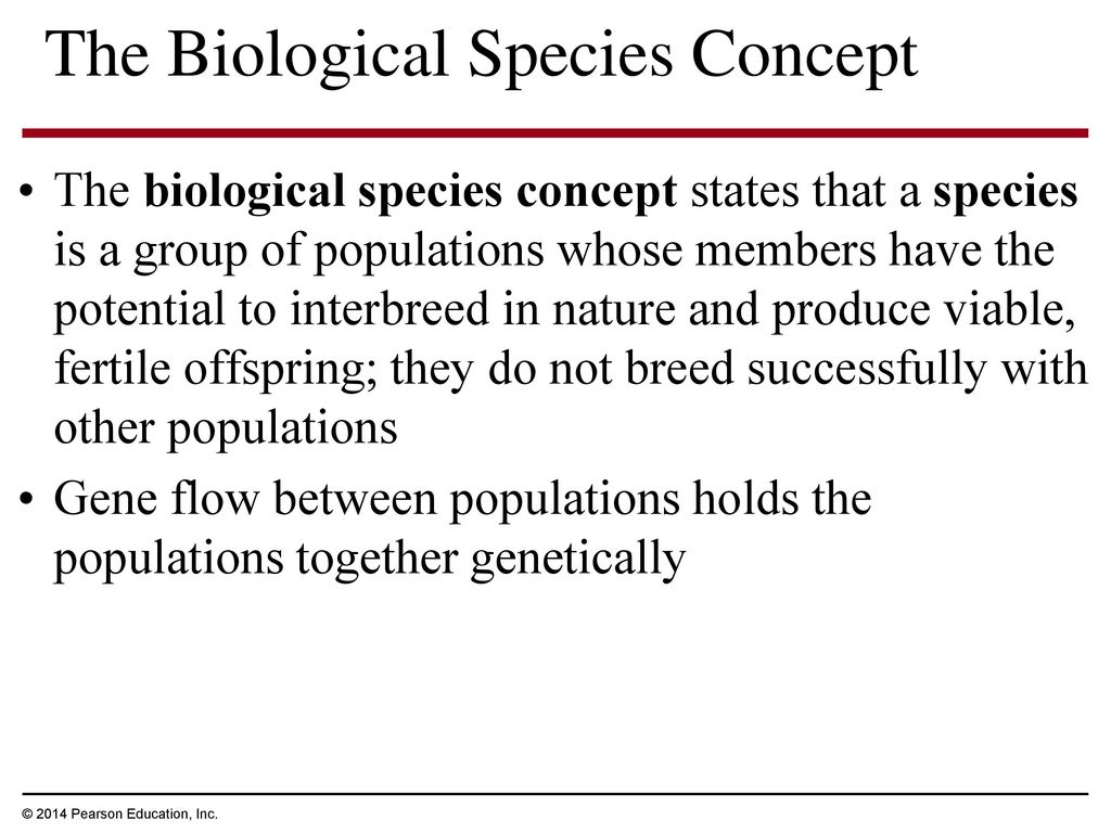 The Biological Species Concept