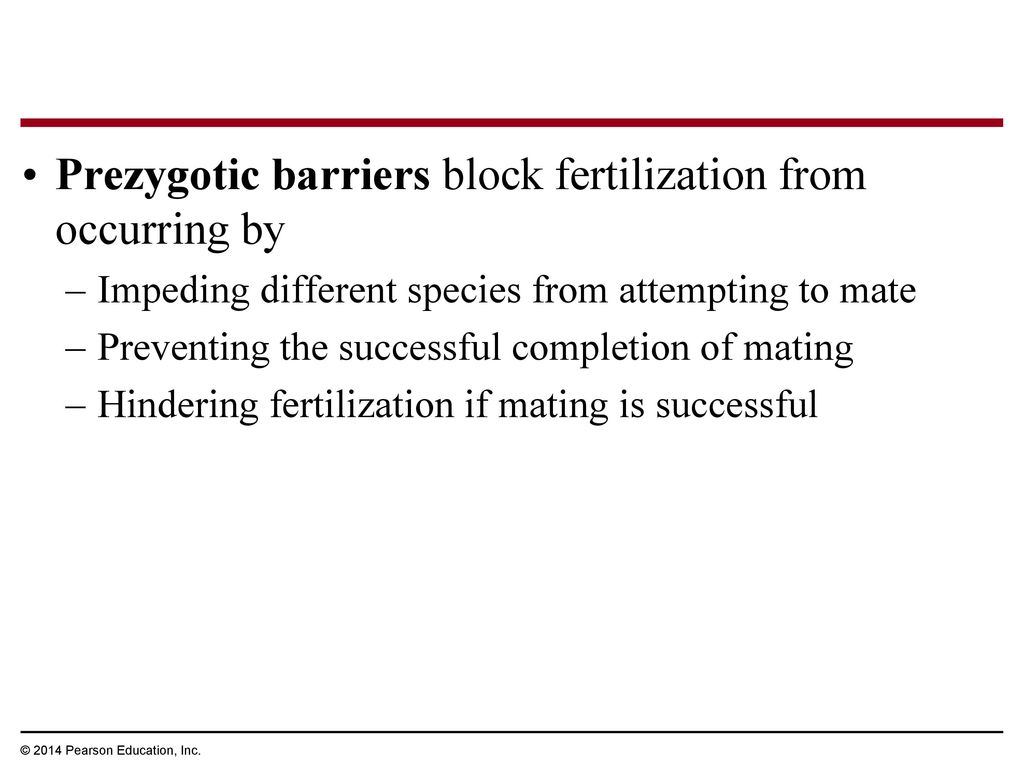 Prezygotic barriers block fertilization from occurring by