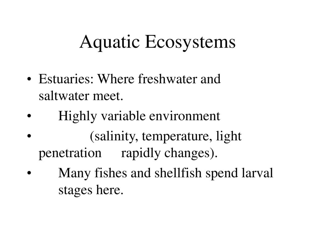 Major Ecosystems of the World Part 2 - ppt download