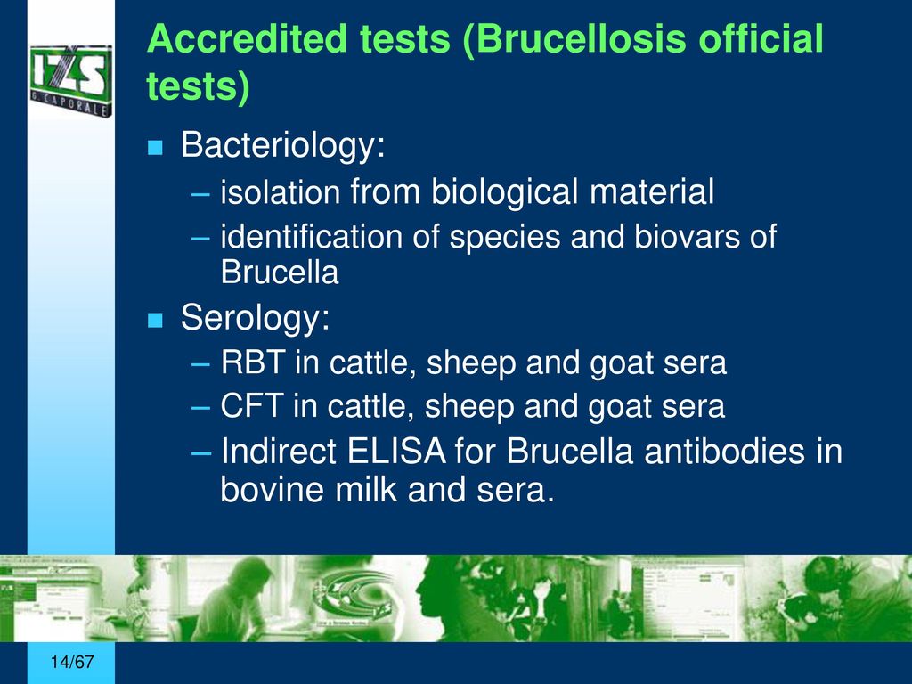 Accredited+tests+%28Brucellosis+official+tests%29