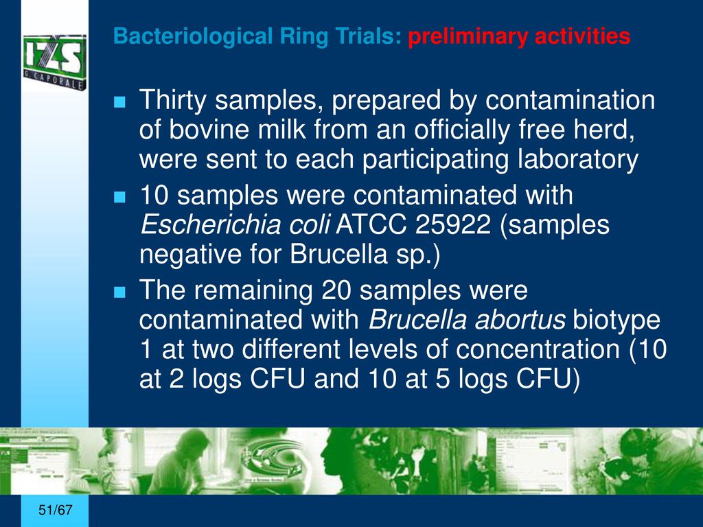 Bacteriological+Ring+Trials%3A+preliminary+activities