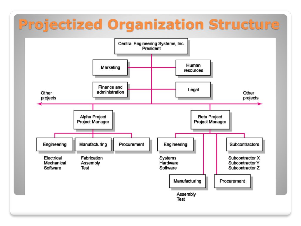 Human Capital Management Part I (Function, Structure, and Master Data ...