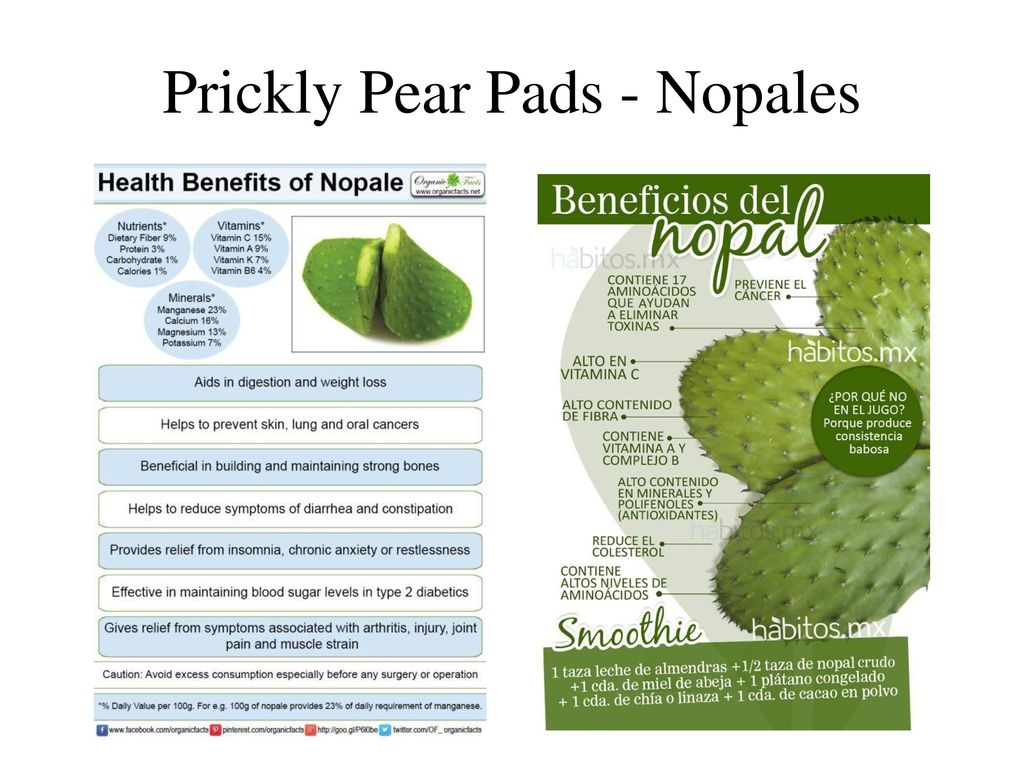Prickly Pear Pads - Nopales