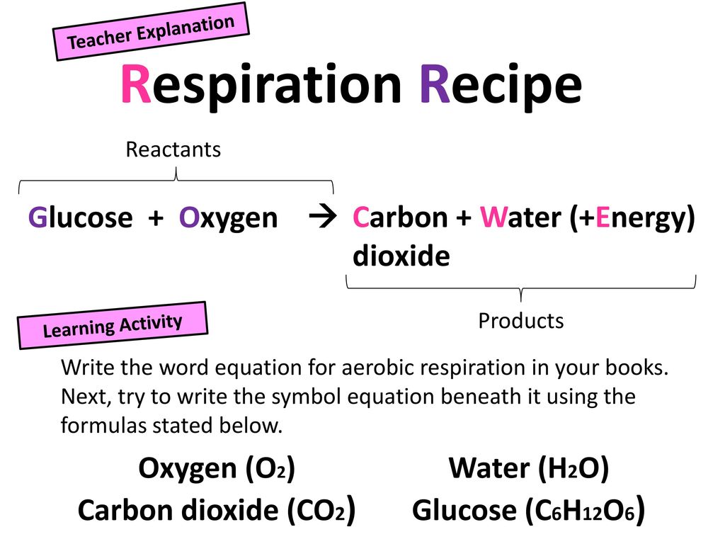 Aerobic Respiration Developing Describe What Respiration Is Ppt Download