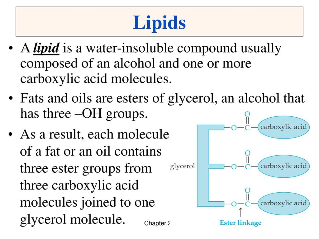 Lipids A lipid is a water-insoluble compound usually composed of an alcohol and one or more carboxylic acid molecules.