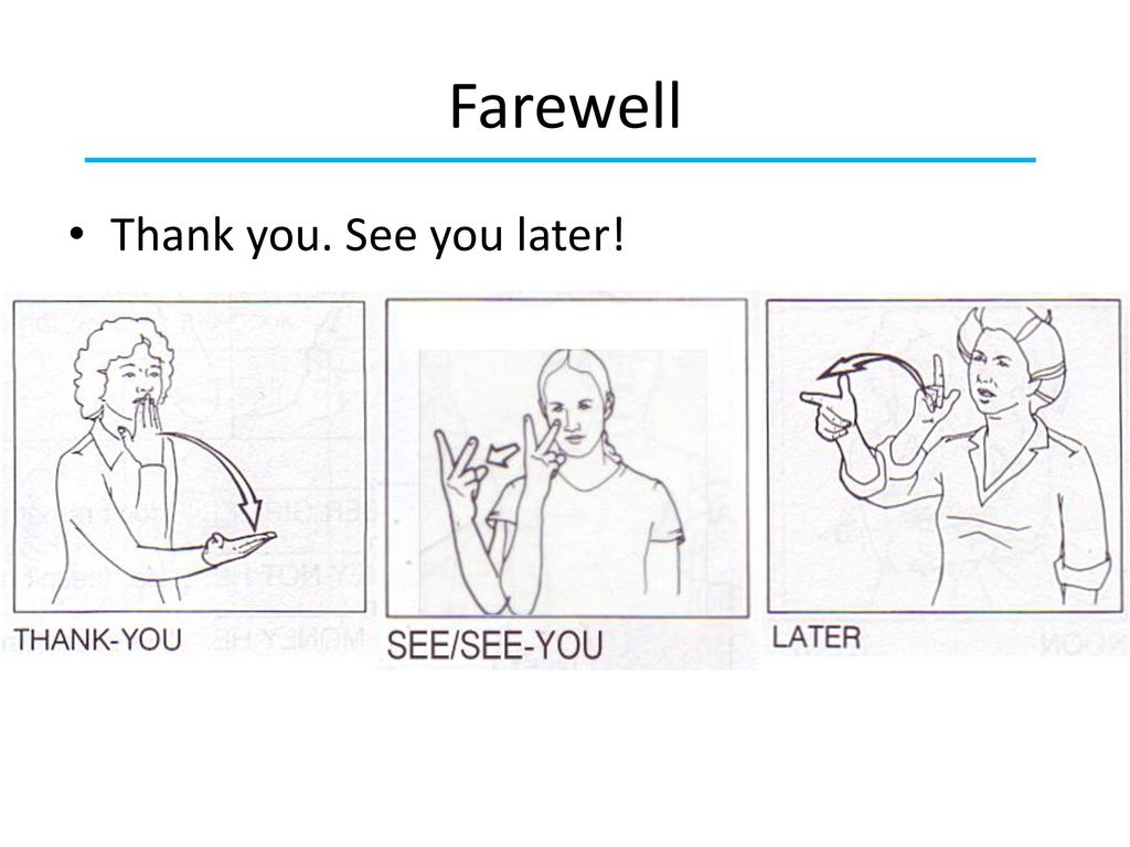 More Than Just A Language Ppt Download