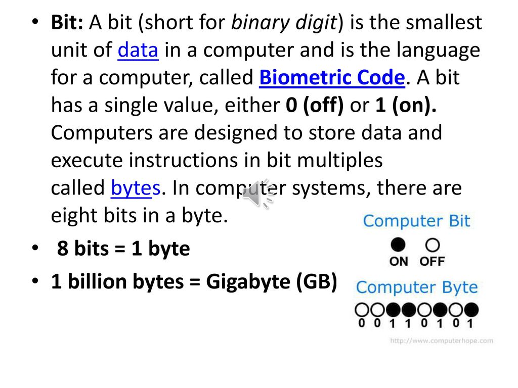Basic Computer Vocabulary ppt download