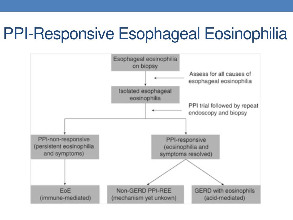 Endoscopic assessment of the oesophageal features of eosinophilic  oesophagitis: validation of a novel classification and grading system | Gut