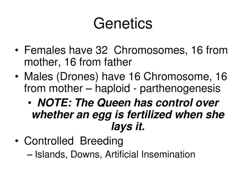 Genetics Females have 32 Chromosomes, 16 from mother, 16 from father