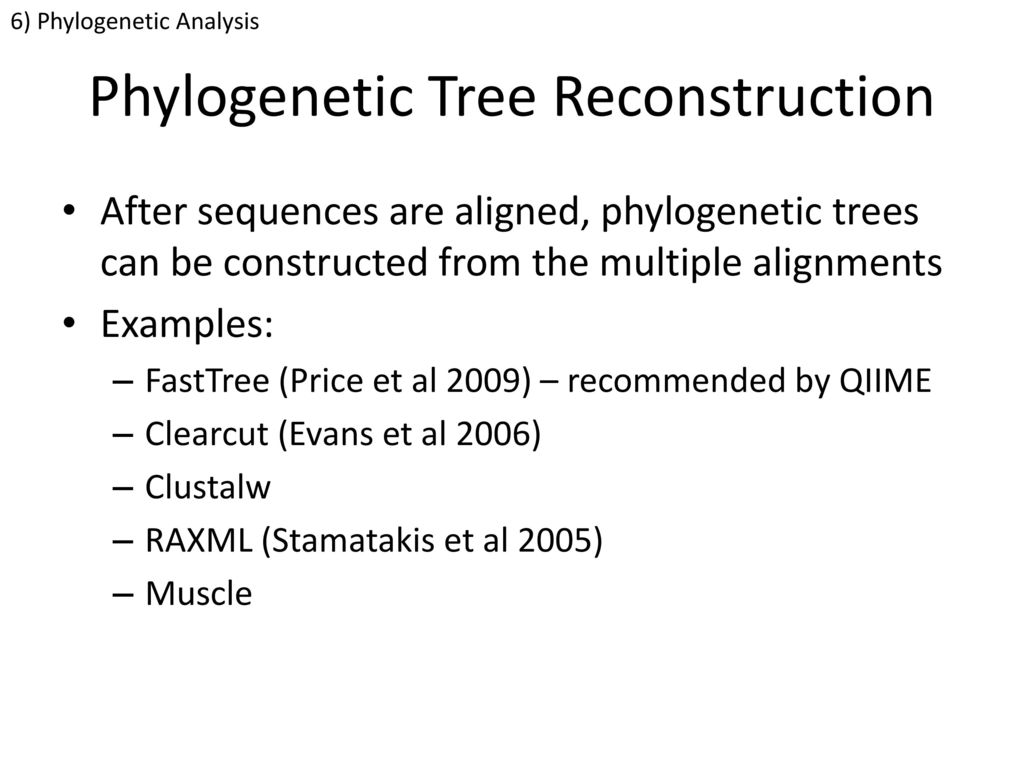 Phylogenetic Tree Reconstruction