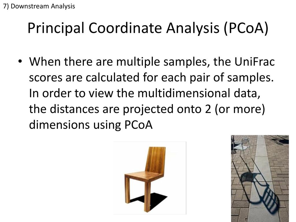 Principal Coordinate Analysis (PCoA)
