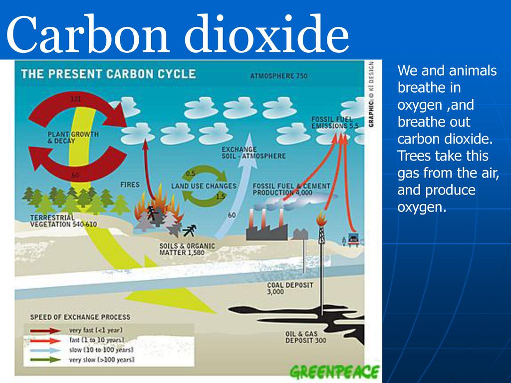 Use carbon dioxide. Carbon dioxide emissions. Carbon dioxide and Oxygen Cycle. Carbon in atmosphere. Carbon Cycle.