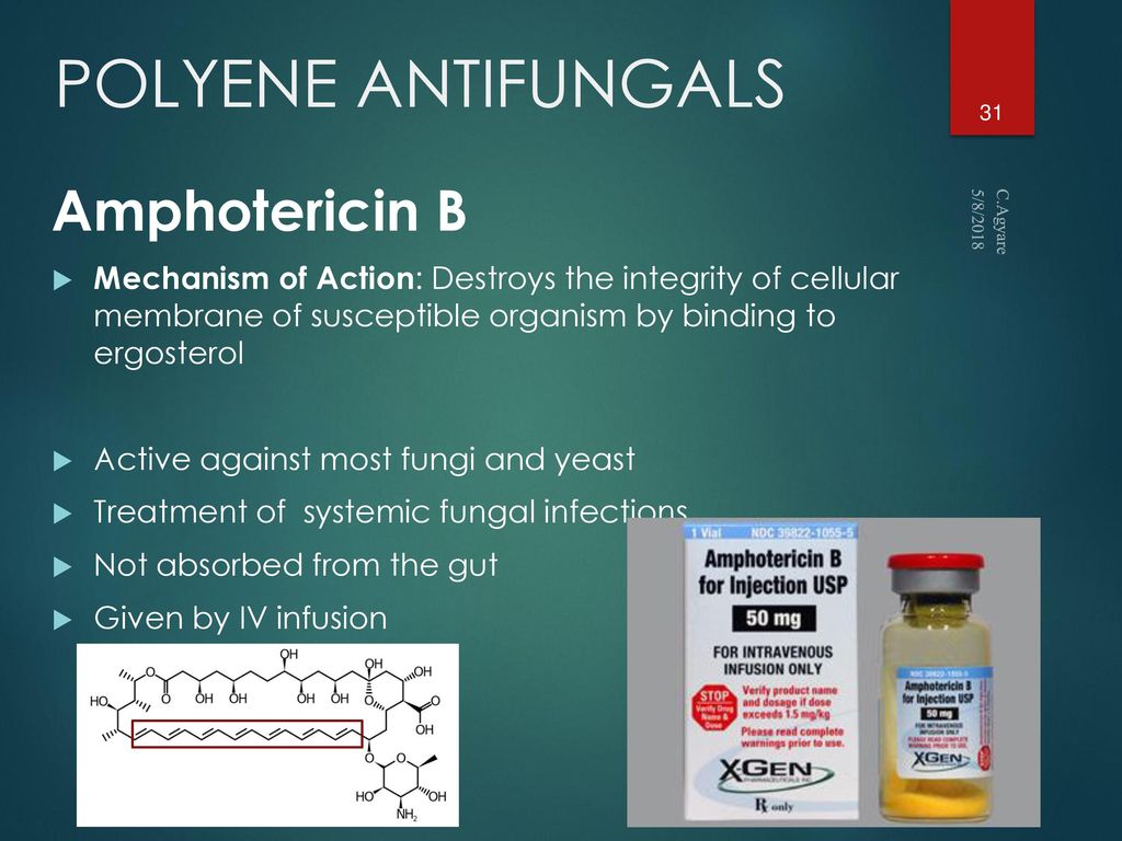 POLYENE ANTIFUNGALS Amphotericin B