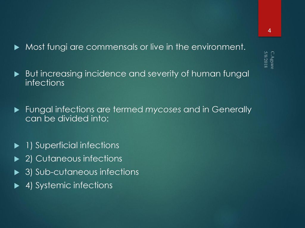 Most fungi are commensals or live in the environment.