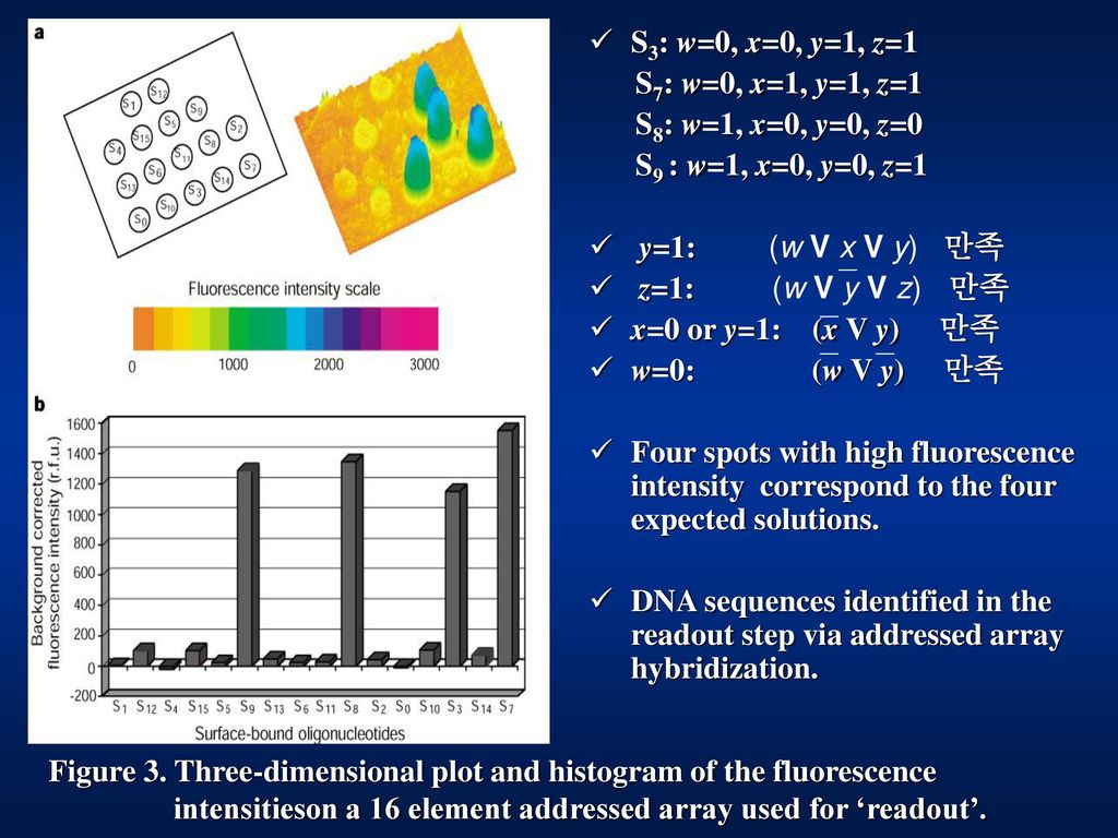 Dna Computing On Surfaces Ppt Download