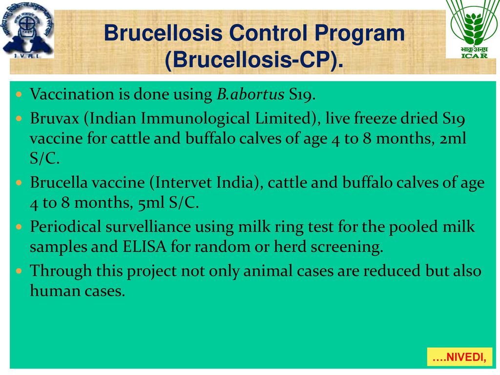 Brucellosis+Control+Program+%28Brucellosis CP%29.