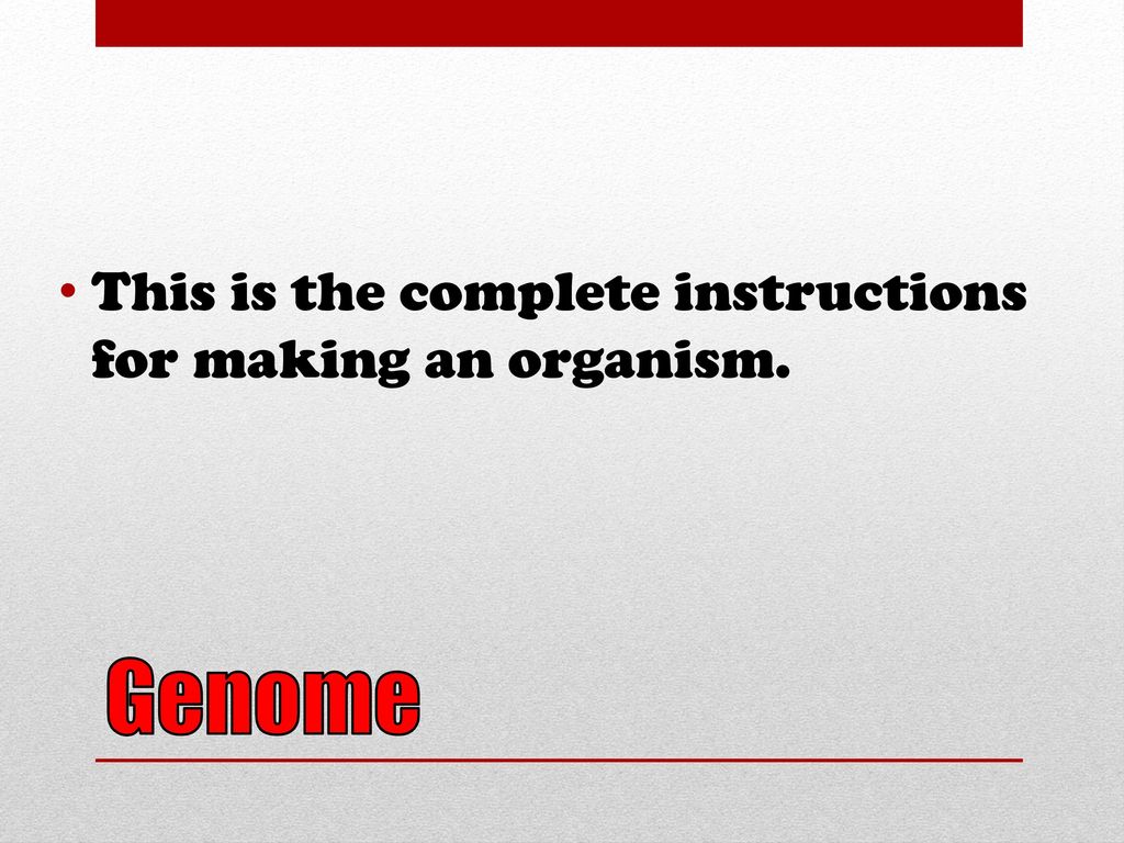 Grudge. ppt download
